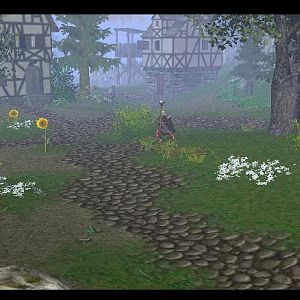 Terrain14