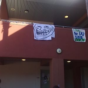 My school is awesome <3