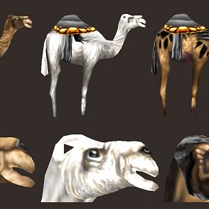 Camel2