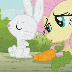 Rabbits hates carrots