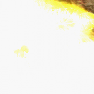 Laser