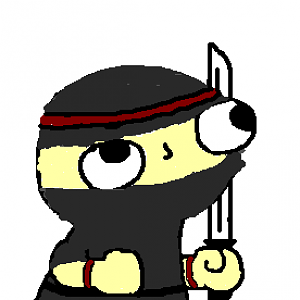 Ninja