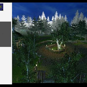 forest view1