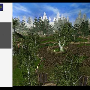 forest view2