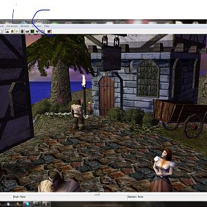 "A inn in the town of Celesta."