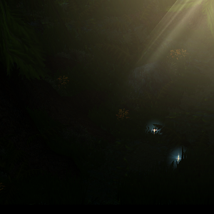 Little glade
