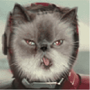 IRON CAT