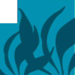 p11 grass.png