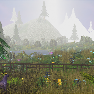 Terrain 1