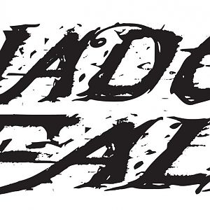 Shadows Fall