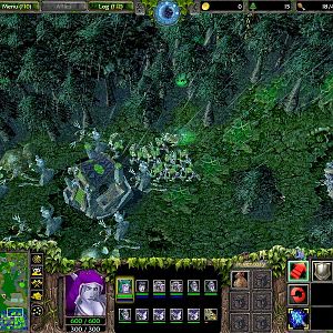 WC3ScrnShot 102511 190613 21