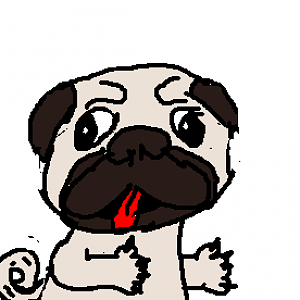 Pug
