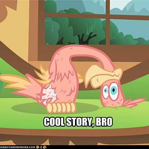The story was cool, bro.