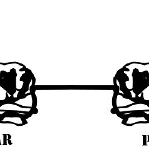Pug Of War 1.1