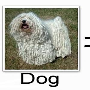 Cake + Dog = Cakedog