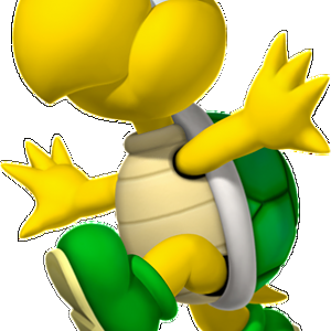 302px Koopa Troopa NSMB