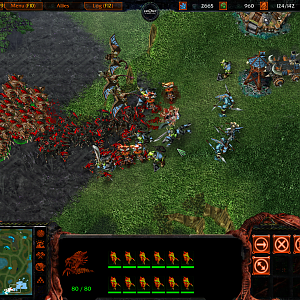 Warcraft vs Starcraft 

Zerg assault on Orc base. Many brave warriors have fallen but the swarm won.

I did not make this!