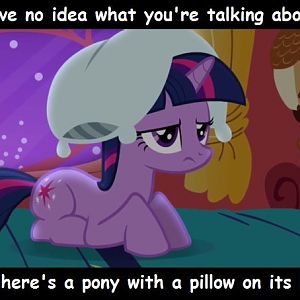 I have no idea what your talking about so heres a pony with a pillow on her head.
