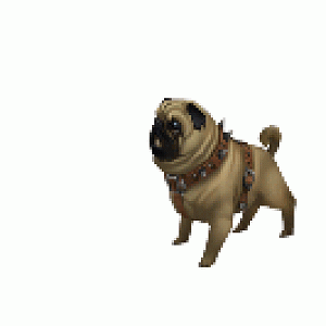 gif test  wow pug by hypnoxo123 d4eu8ev