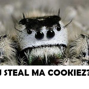 Angry SLA