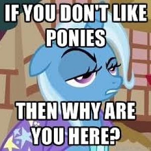 ifyoudontlikeponieswhyareyouhere