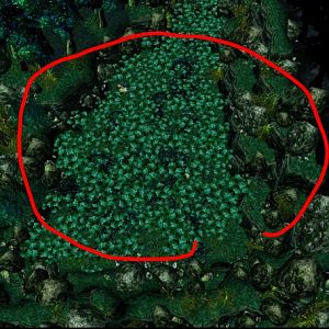WC3ScrnShot 121611 114642 01