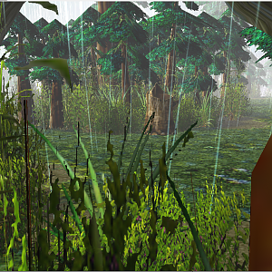 Forest 1