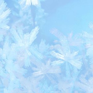 snow crystals 1