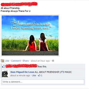 Being a Brony at Facebook,GRRRRR