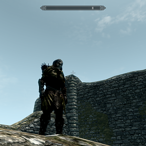 Just felt like taking a picture with my Elven armor.