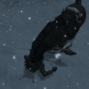 Another of my mishaps during my travel to Winterhold.