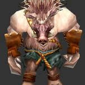 Quillboar