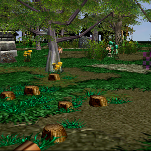 Village outskirts.
Logging area