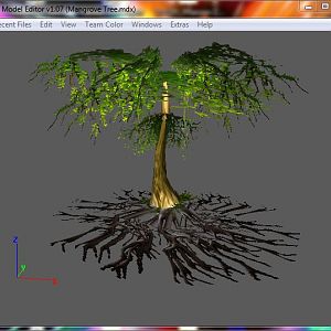 Mangrove Tree
