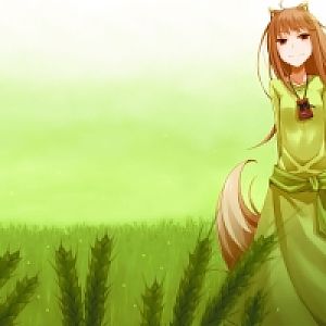 wolf and spice small