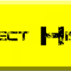 Project History