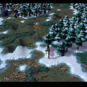 NEW SC FROSTY WOODS 1