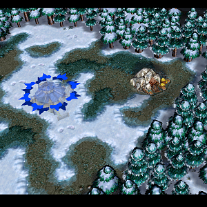 NEW SC FROSTY WOODS 2