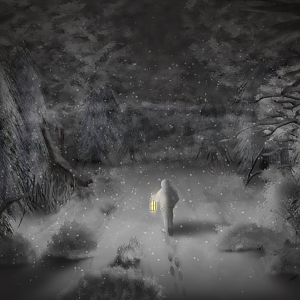 Winter Forest
