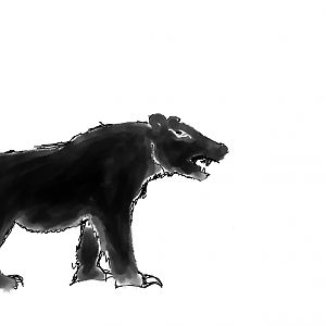 Blackbear