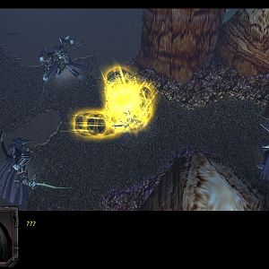 TCO   Bug Not text too
