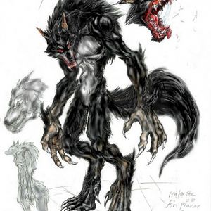 fury
1.0 model "sketch"