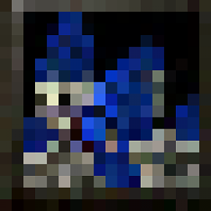 BTNCastle