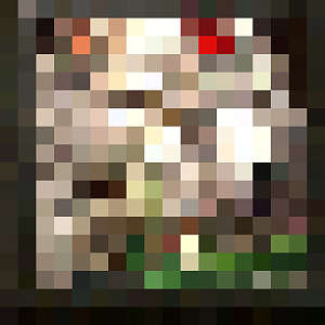 BTNShaman