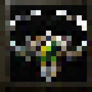 BTNCirclet