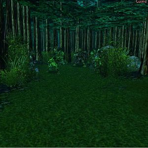 Terrain pic 8
