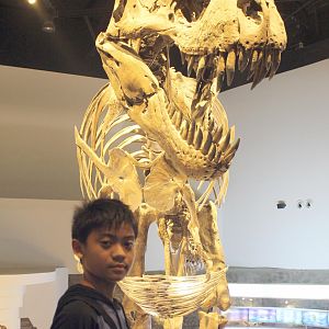 Me with a real T-Rex Fossil :)