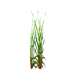 Include Grass as Portrait