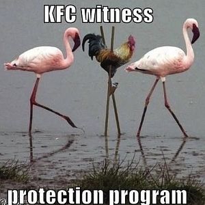 KFC Witness Protection Program