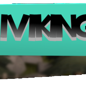 iVikiing0002